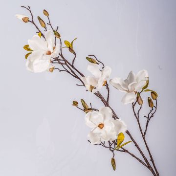 Rama de magnolia artificial LILO, crema, 110cm, Ø5-9cm