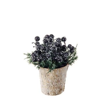 Arreglo artificial de bayas de aronia, pino ZENSA, maceta decorativa, negra, 13cm, Ø12cm