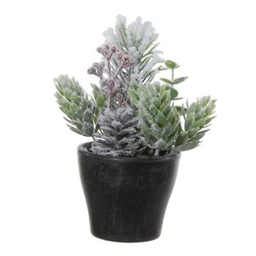 Arreglo artificial de abeto, lúpulo, gaultheria VIANNO, nevado, maceta decorativa, verde-blanco, 14cm, Ø11cm