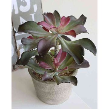 Echeveria artificial SHAUNA en maceta decorativa, verde-morado, 25cm