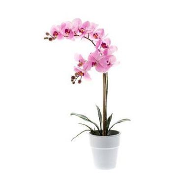 Orquídea Phalaenopsis sintética CANDIDA tiesto cerámica, rosa, 65cm, Ø7-8cm