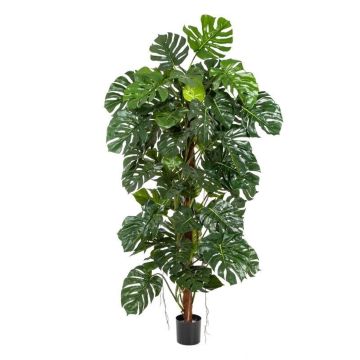 Filodendro Monstera Deliciosa artificial MEBSUTA, 160cm