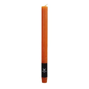 Vela cónica AURORA, naranja, 27cm, Ø2,2cm, 10h - Made in Germany