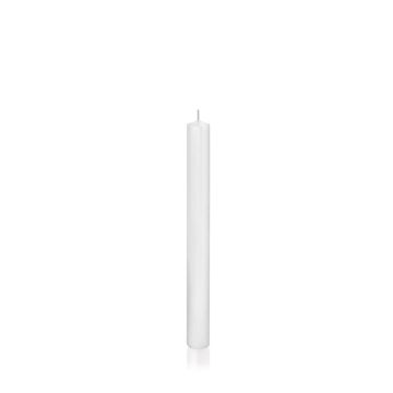 Vela de candelabro TARALEA, blanco, 25cm, Ø2,3cm, 14h - Made in Germany