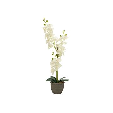 Orquídea Phalaenopsis artificial KATALIN, maceta decorativa, crema, 80cm