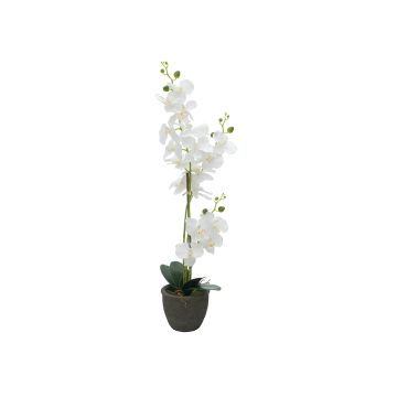 Orquídea Phalaenopsis artificial KATALIN, maceta decorativa, blanca, 80cm