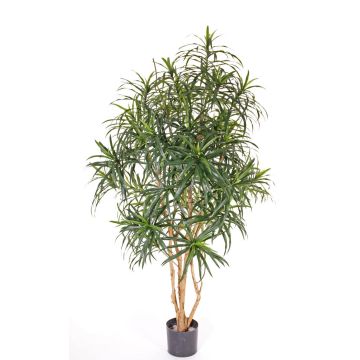 Dracaena Reflexa artificial PHILOMENA, cepas reales, verde, 160cm