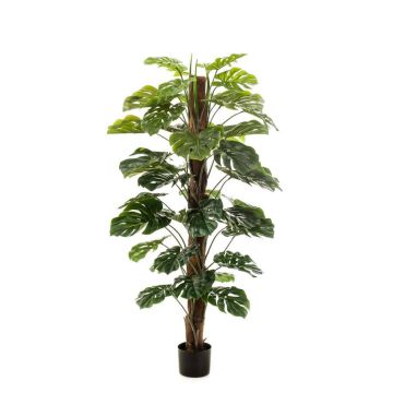 Filodendro monstera deliciosa artificial TILA, 150cm