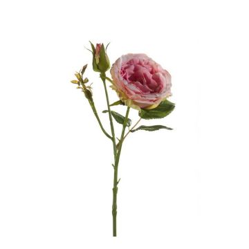 Rosa de plástico CESCA, rosa, 40cm