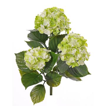 Hortensia artificial SAIRA, en vara de fijación, zonas resguardadas, verde-crema, 40cm, Ø11-13cm