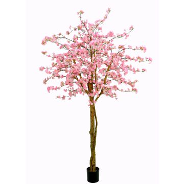 Cerezo japonés artificial TIFFY, tallos reales, flores, rosa, 240cm