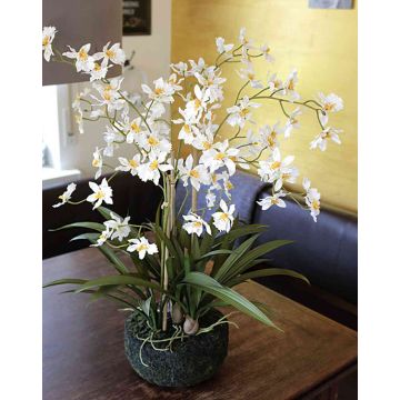 Orquídea Oncidium textil AMELINA, en bola de tierra, crema, 65cm