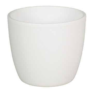 Macetero de cerámica para plantas pequeñas TEHERAN BASAR, blanco-mate, 9,8cm, Ø12cm