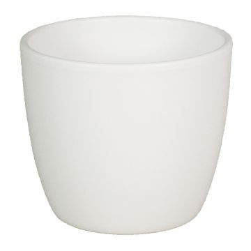 Macetero de cerámica para plantas TEHERAN BASAR, blanco-mate, 12cm, Ø13,5cm
