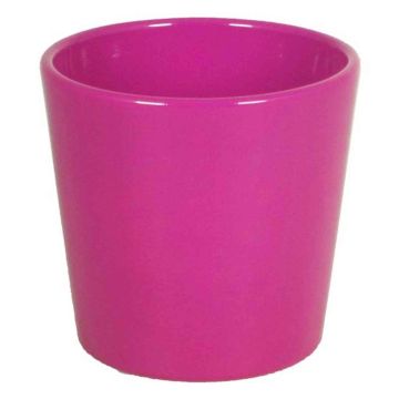 Macetero de cerámica para orquídeas BANEH, fucsia, 12,5cm, Ø13,5cm