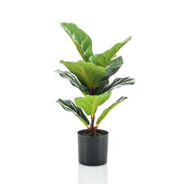 Ficus Lyrata artificial EMILIANA, verde, 55cm