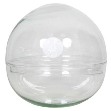 Terrario de cristal para suculentas BRYSON, bola, transparente, 19,5cm, Ø19,5cm