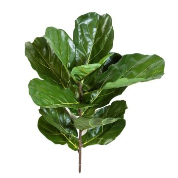 Ficus Lyrata artificial ATIKA en varilla de ajuste, verde, 75cm