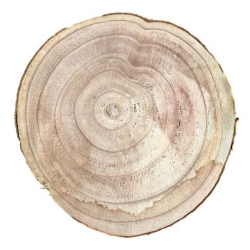 Rodaja de madera de paulownia JESSALYN, natural, Ø25-27cm