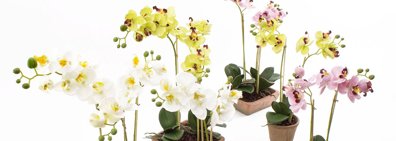 Orquídeas artificiales que parecen reales